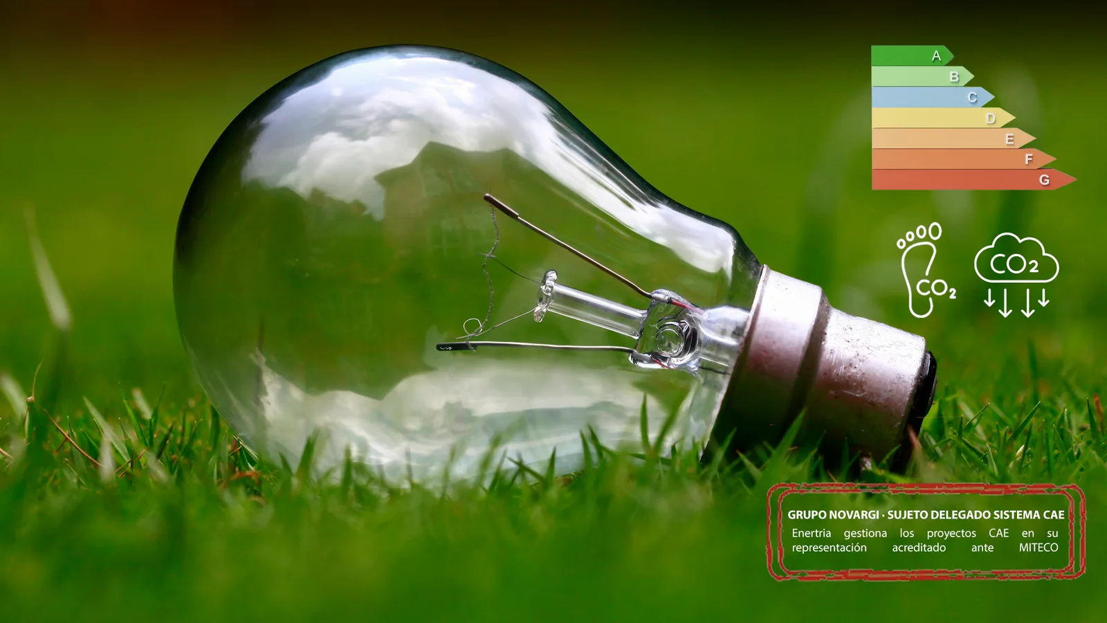 Eficiencia energética y Certificados de Ahorro Energético (CAE)